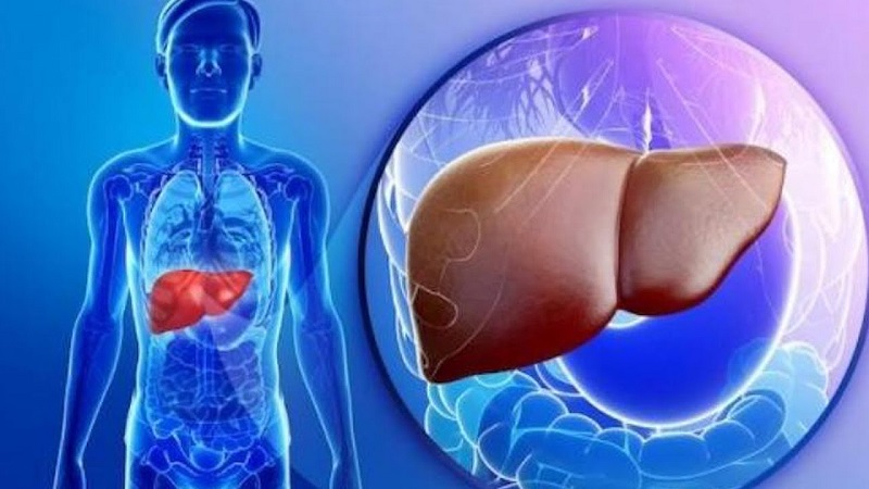 Thúc đẩy tuần hoàn máu và đào thải độc tố